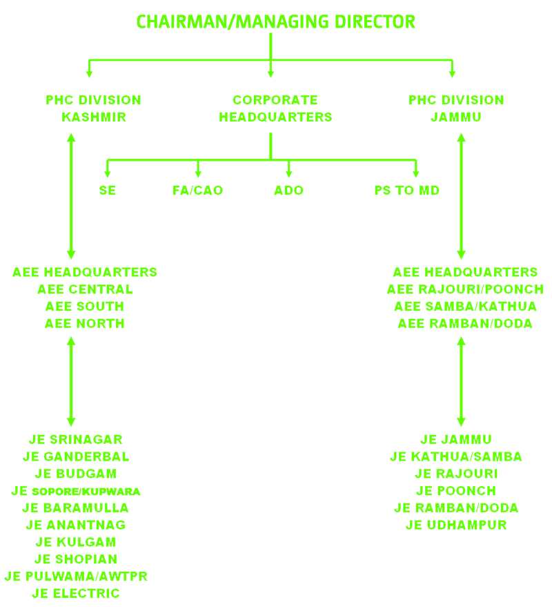 Department Organization Chart